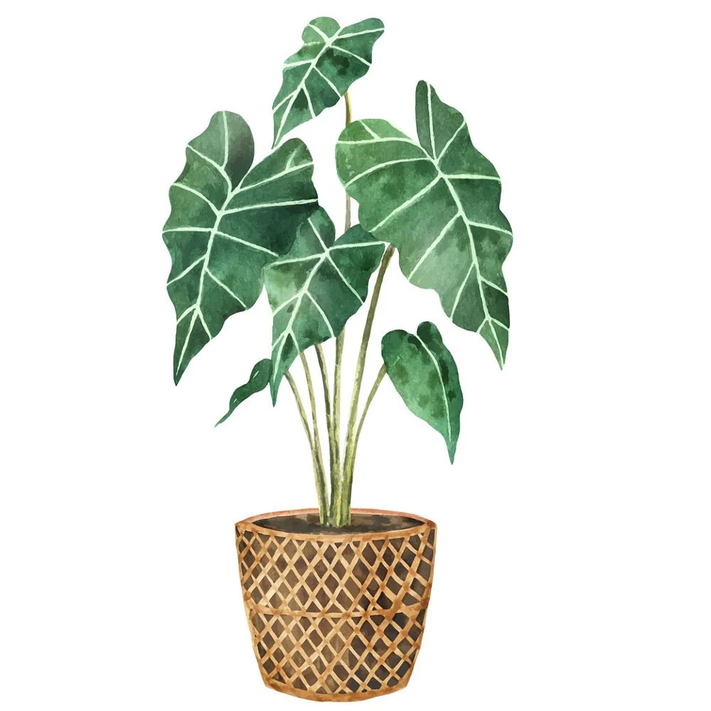 Indoor Green Plants Alocasia Fabric Panel
