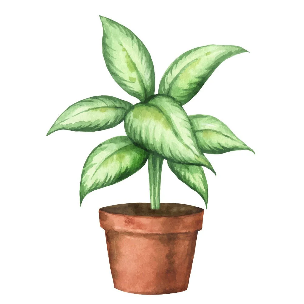 Indoor Green Plants Dieffenbachia Fabric Panel