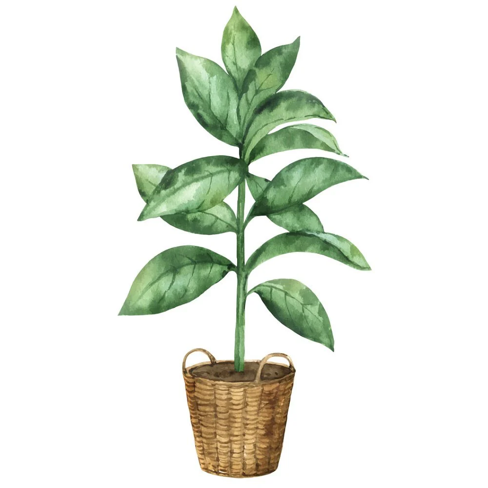 Indoor Green Plants Ficus Fabric Panel