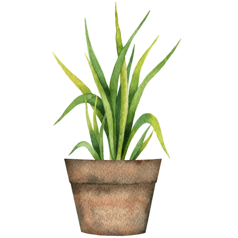 Indoor Green Plants Lemon Grass Fabric Panel