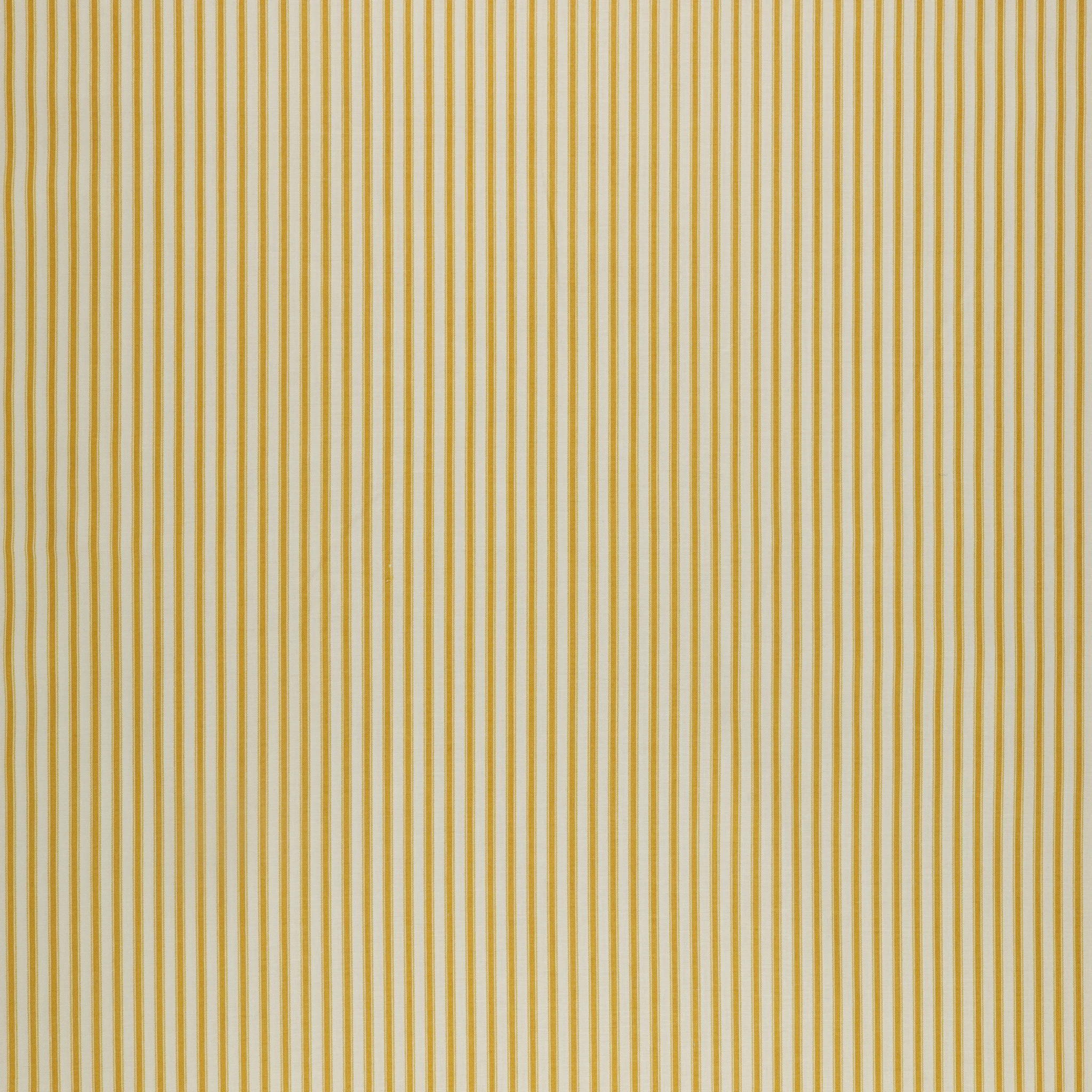 Ivy Reese Fabric Collection - Ticking Golden