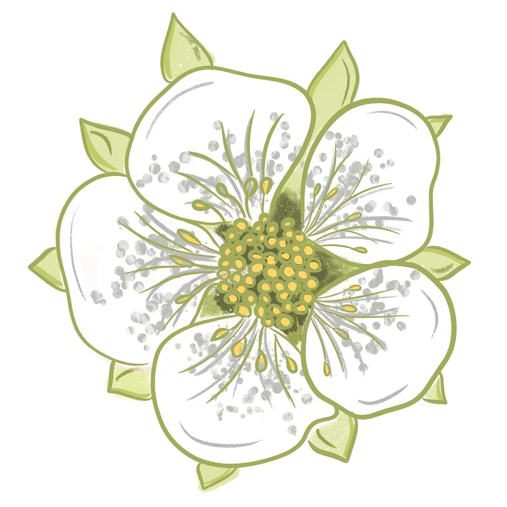 Jasmine Flower Fabric Panel