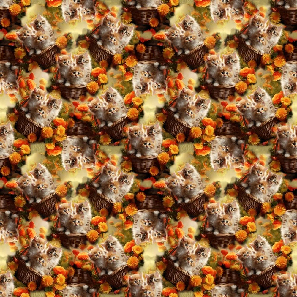 Kittens In Basket Fabric