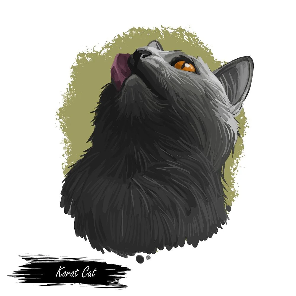 Korat Cat Portrait Fabric Panel