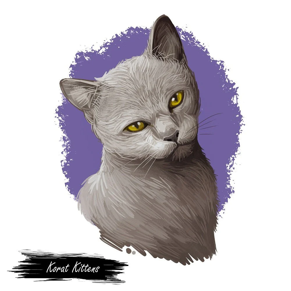Korat Kitten Portrait Fabric Panel