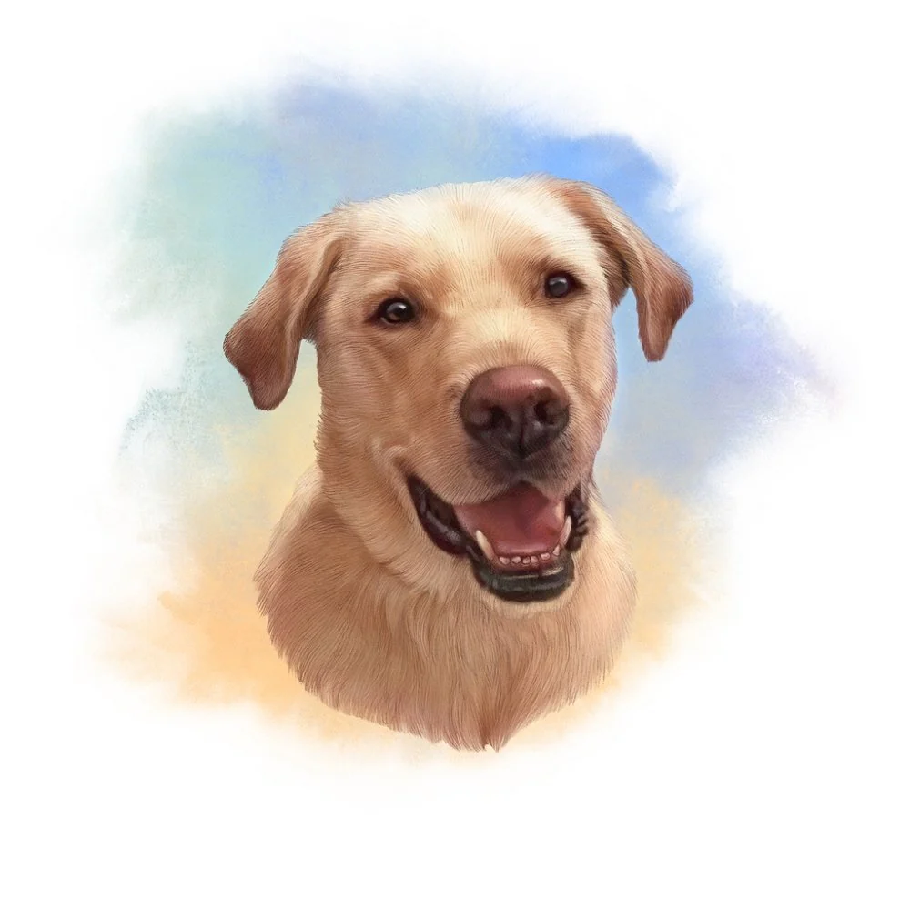 Labrador Retriever Portrait Fabric Panel - Multi