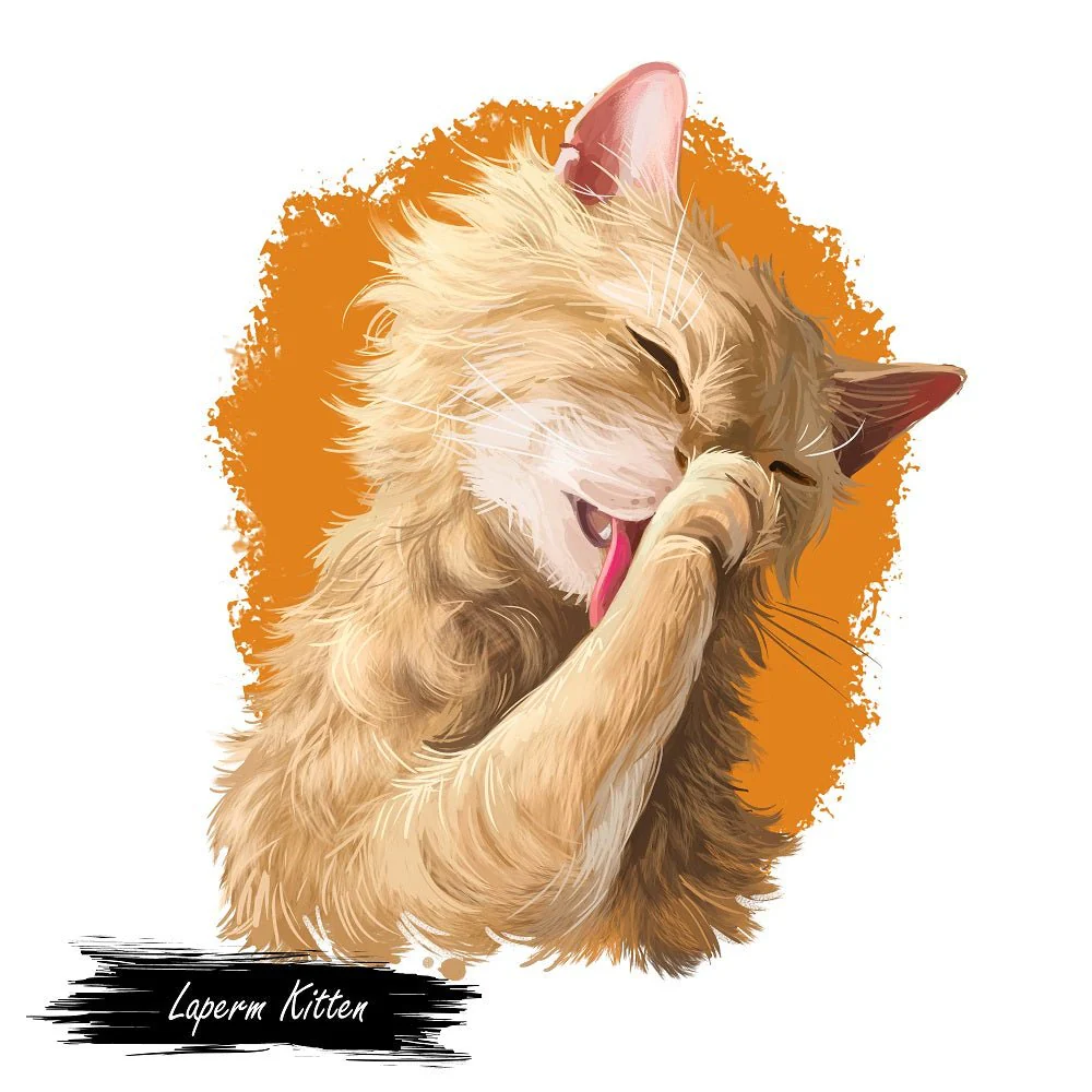 LaPerm Kitten Licking Paw Portrait Fabric Panel