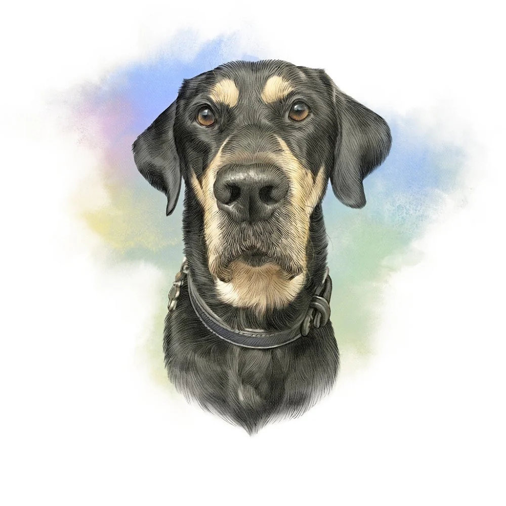 Large Bicolor Domestic Dog Portrait Fabric Panel