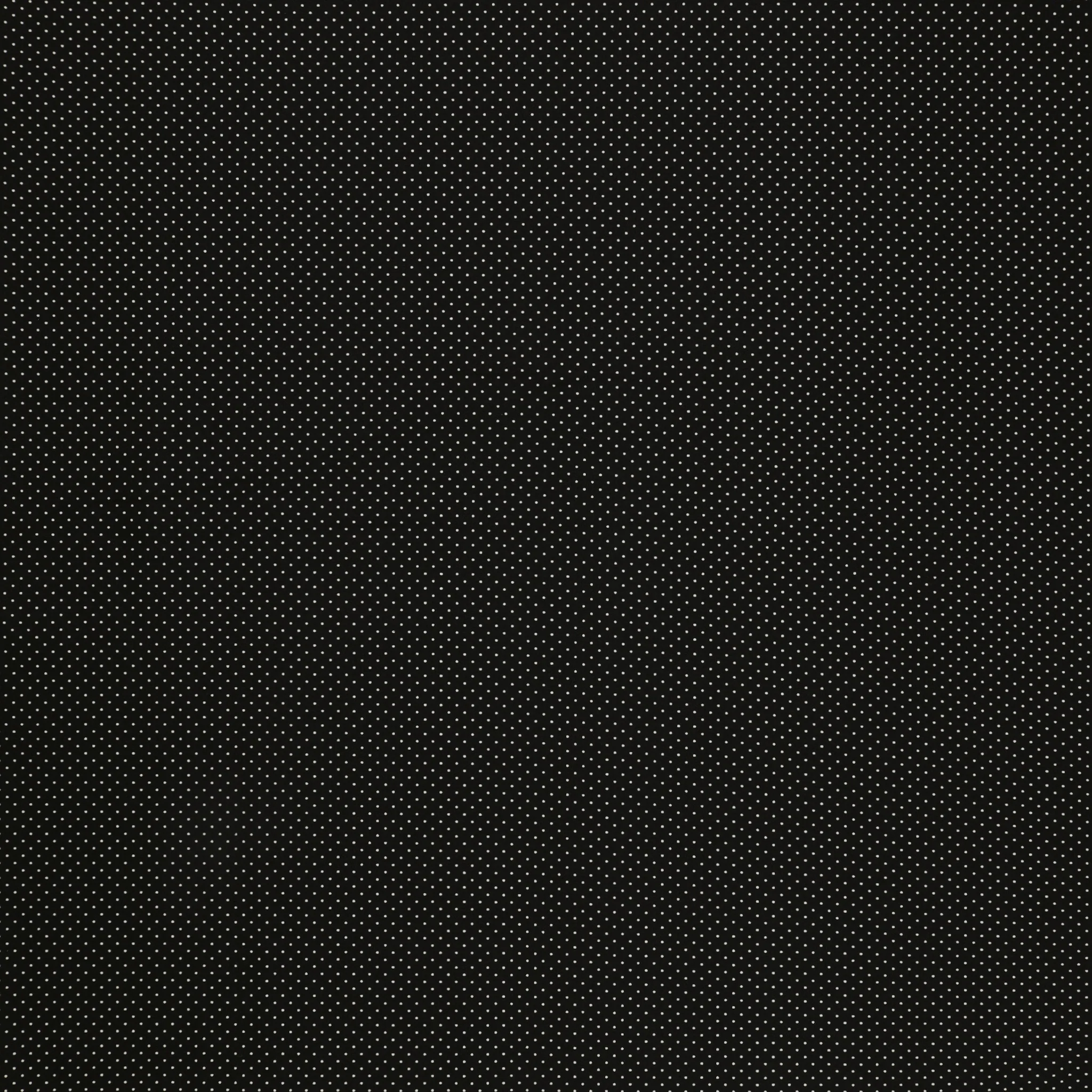 Les Petits Fabric Collection - Petits Stipples Black