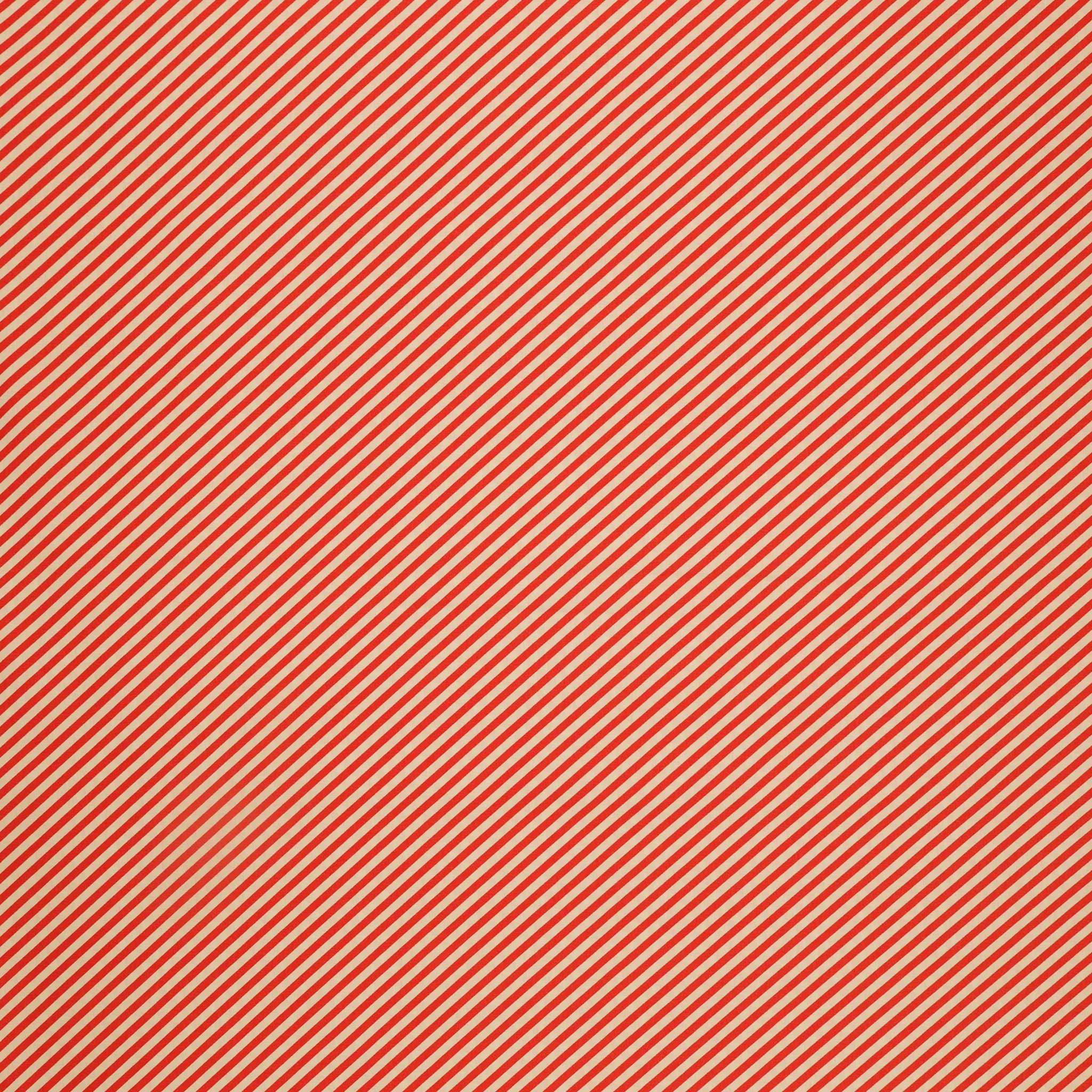 Les Petits Fabric Collection - Petits Strokes Vermilion