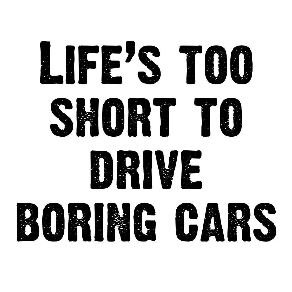 Life�s Too Short To Drive Boring Cars Fabric Panel