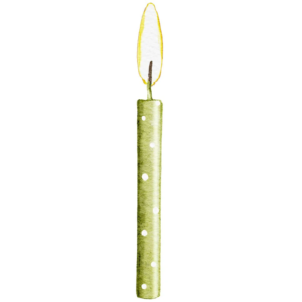 Little Critters It's a Party! Candle #6 Fabric Panel