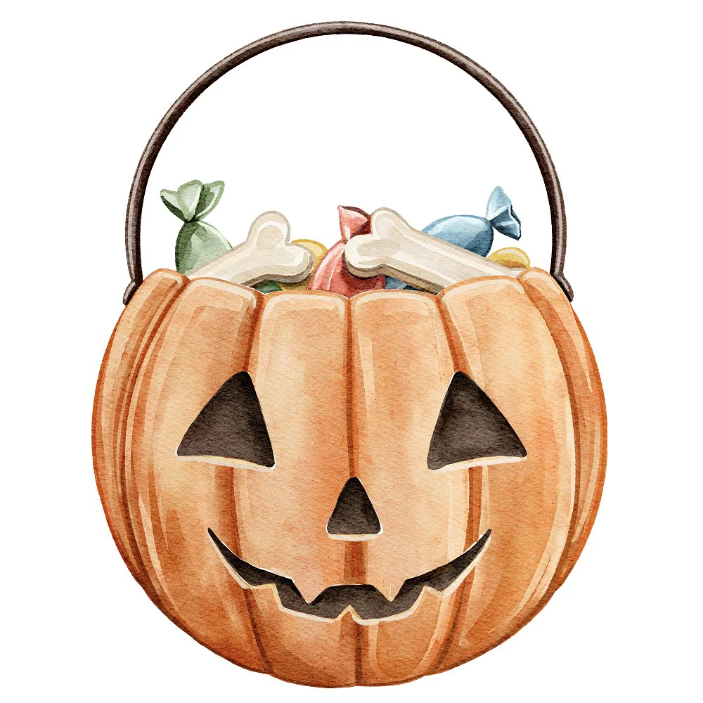 Little Critters Spooky Halloween Pumpkin Candy Basket #2 Fabric Panel