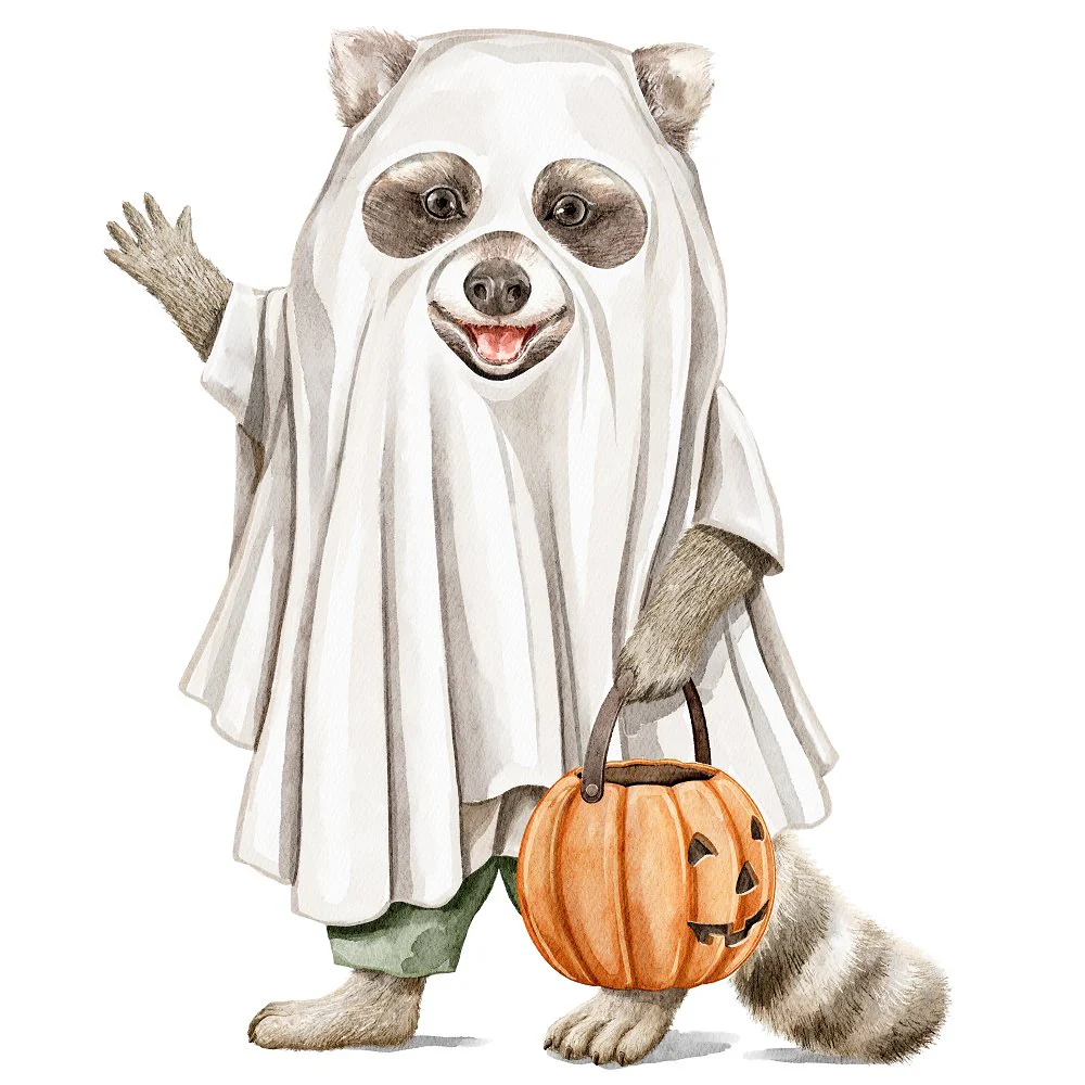 Little Critters Spooky Halloween Raccoon Fabric Panel