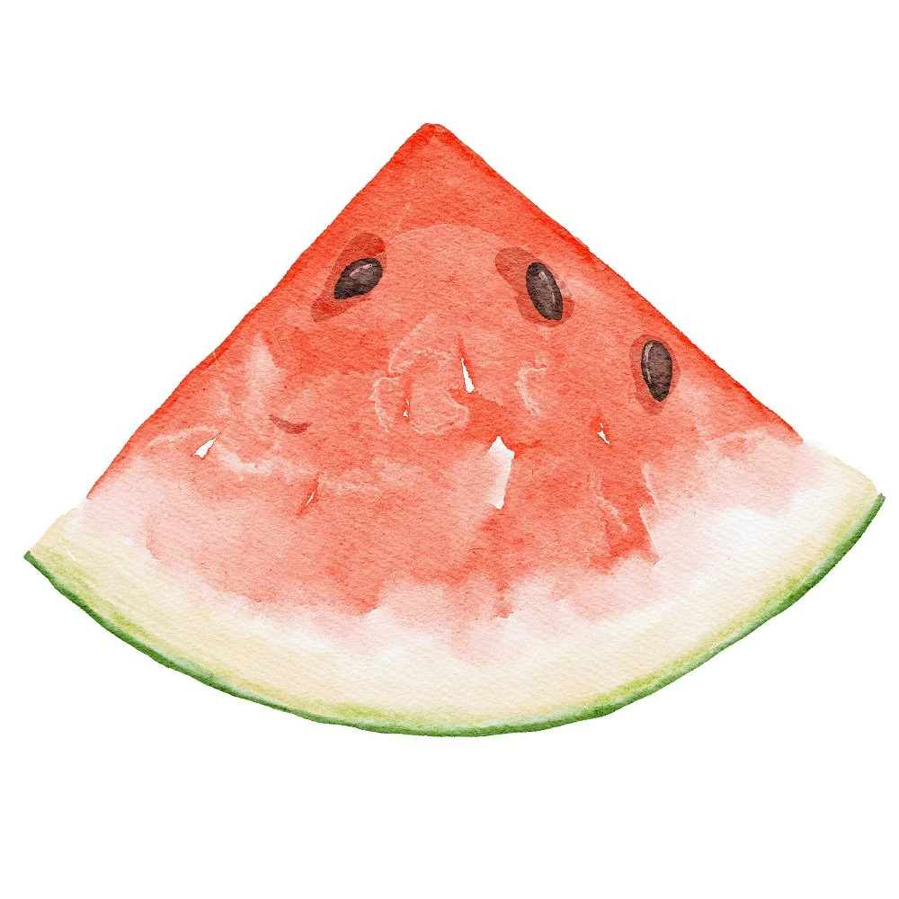 Little Critters Summer Fun Watermelon Fabric Panel