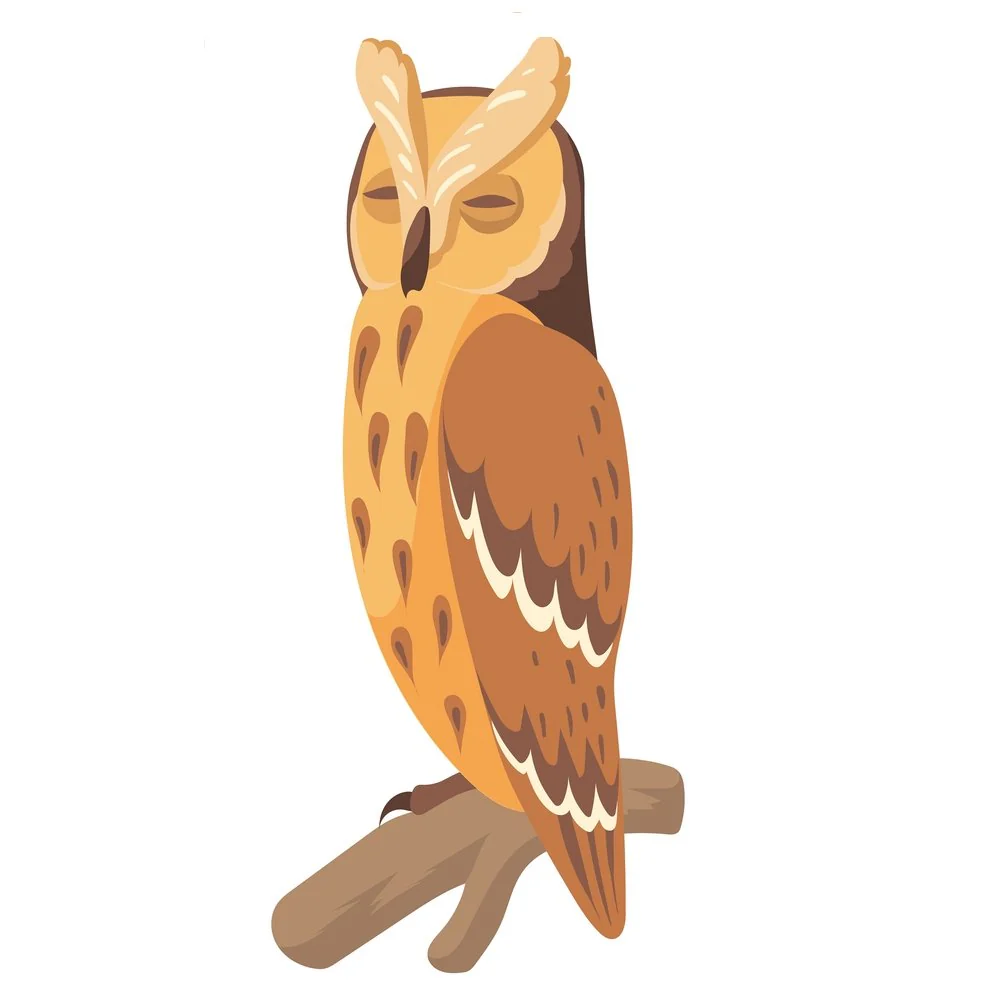 Long-Eared Owl Fabric Panel