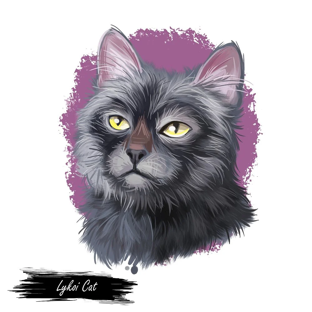 Lykoi Cat Portrait Fabric Panel