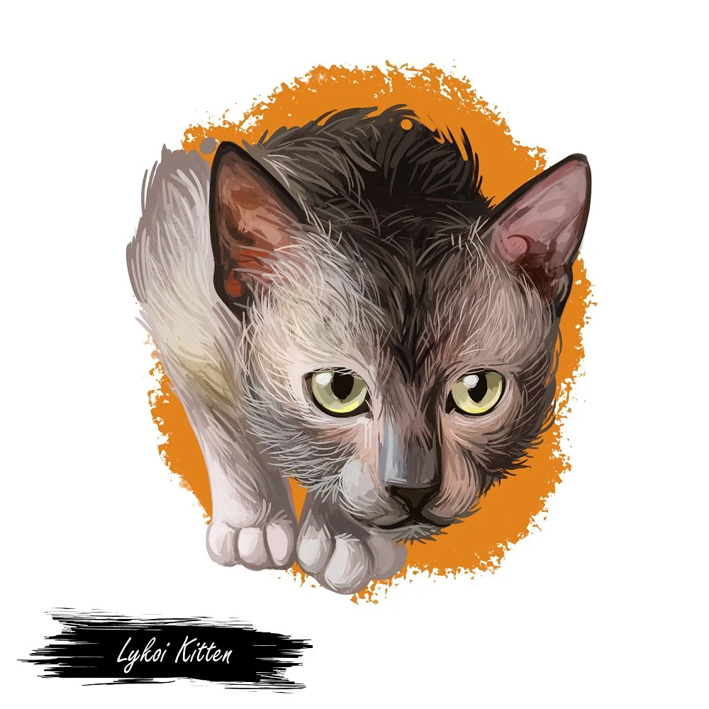 Lykoi Kitten Portrait Fabric Panel