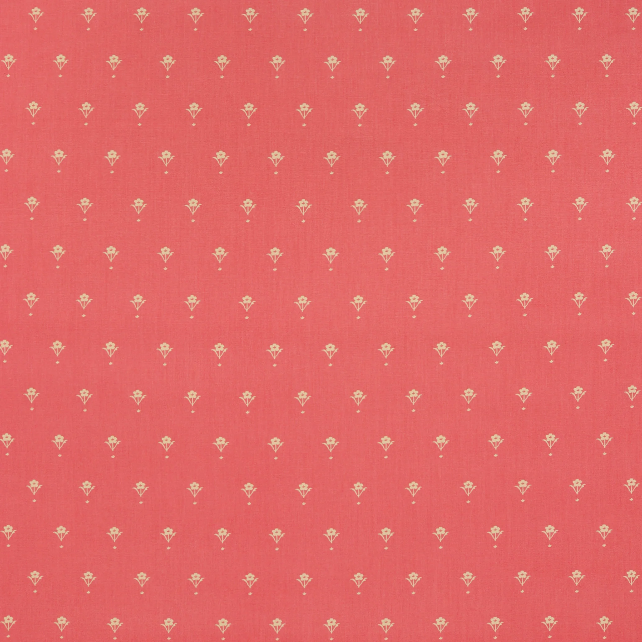 Marigold Fabric Collection - Painted Porcelain Rose