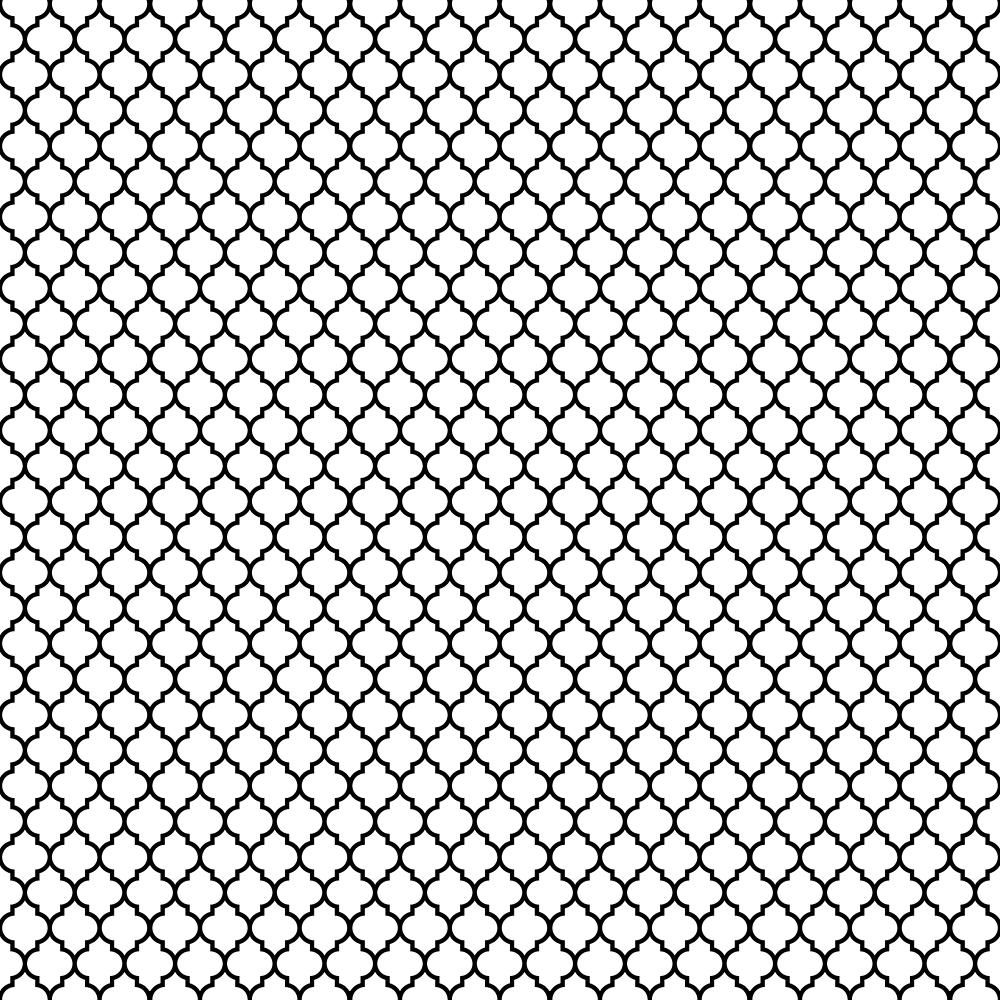 Monochrome Moroccan Fabric