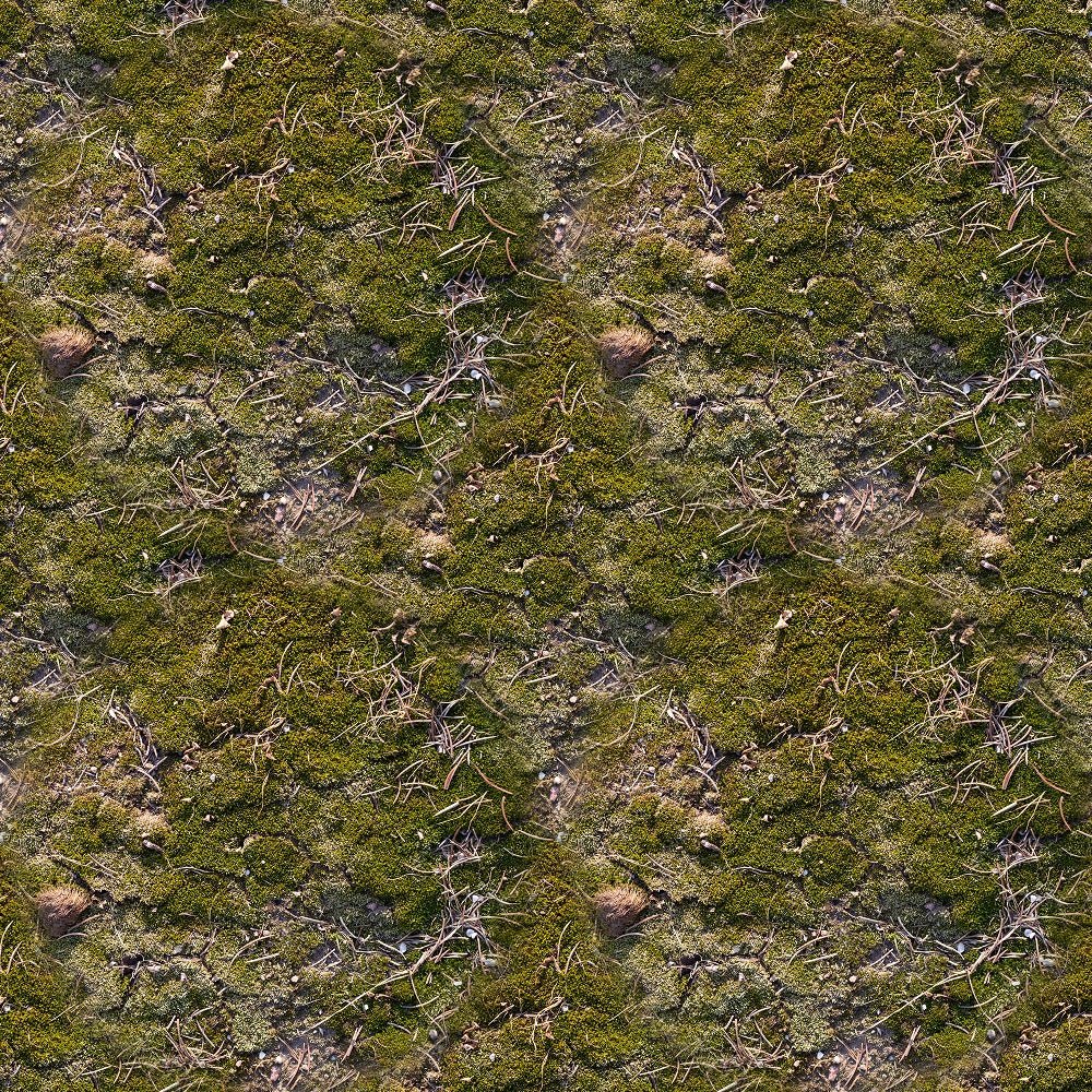 Moss Print Fabric