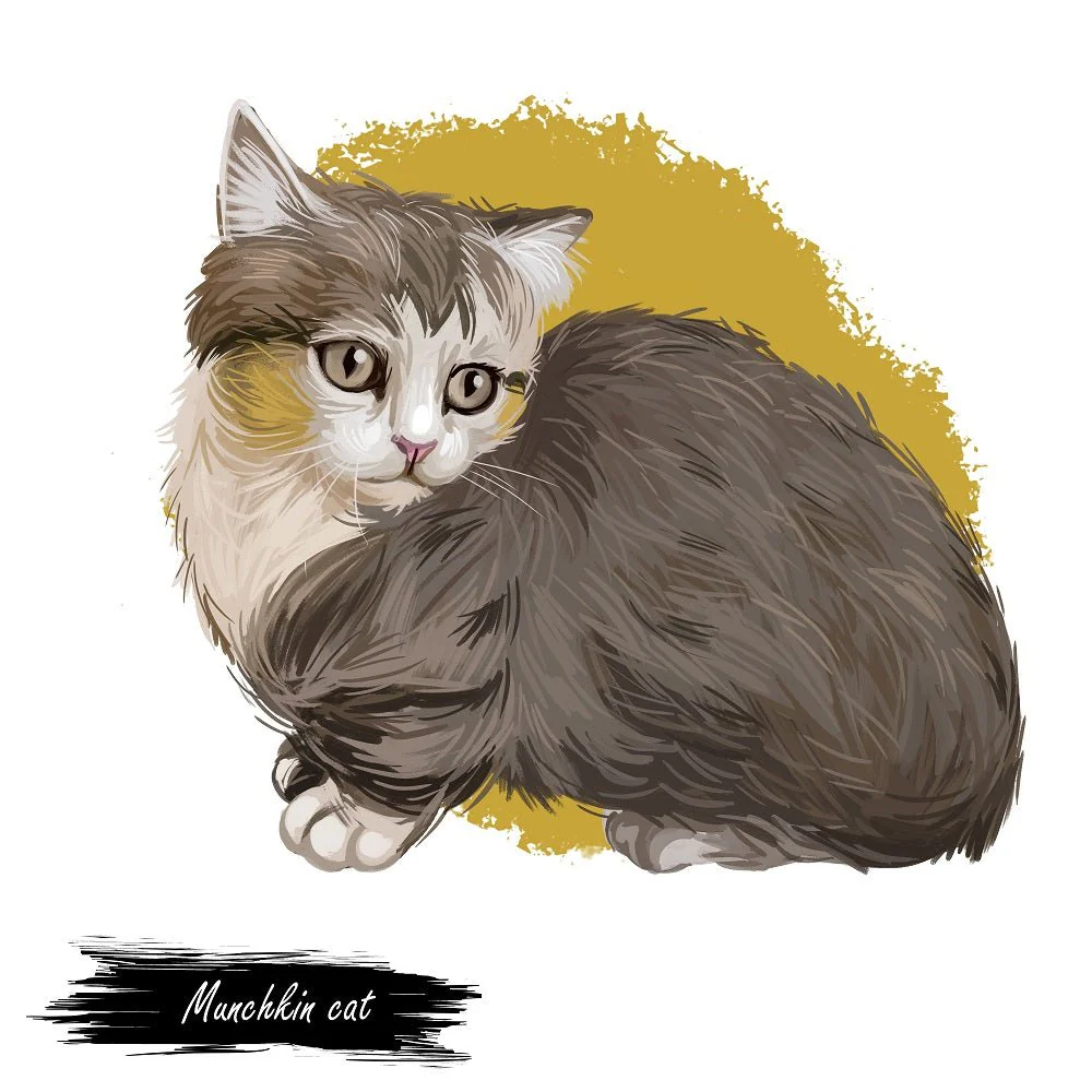 Munchkin Cat Portrait Fabric Panel