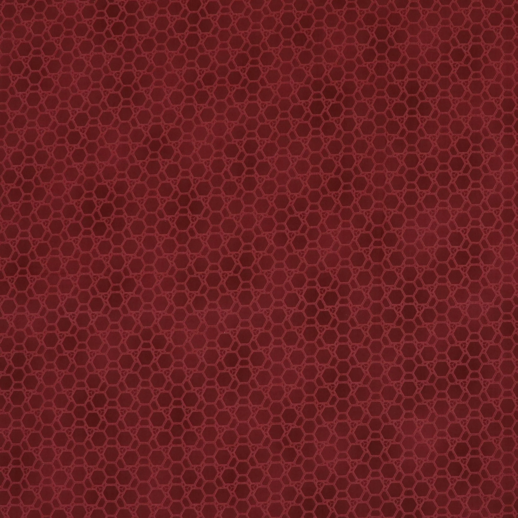 Newer Worlds Beasley Fabric Collection - Ruby