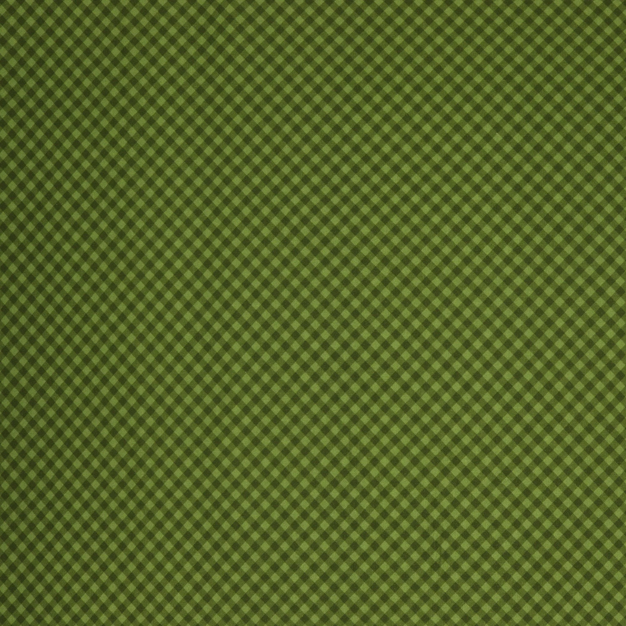 Owl Be Home For Christmas Fabric Collection - Jolly Bias Check Green