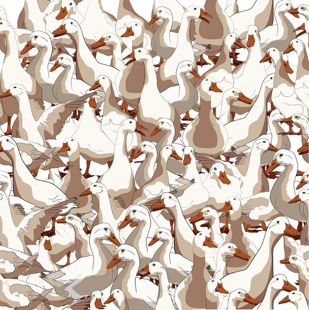 Packed Ducks Fabric