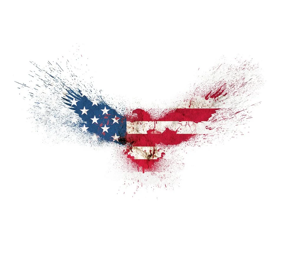 Paint Splatter Eagle Fabric Panel