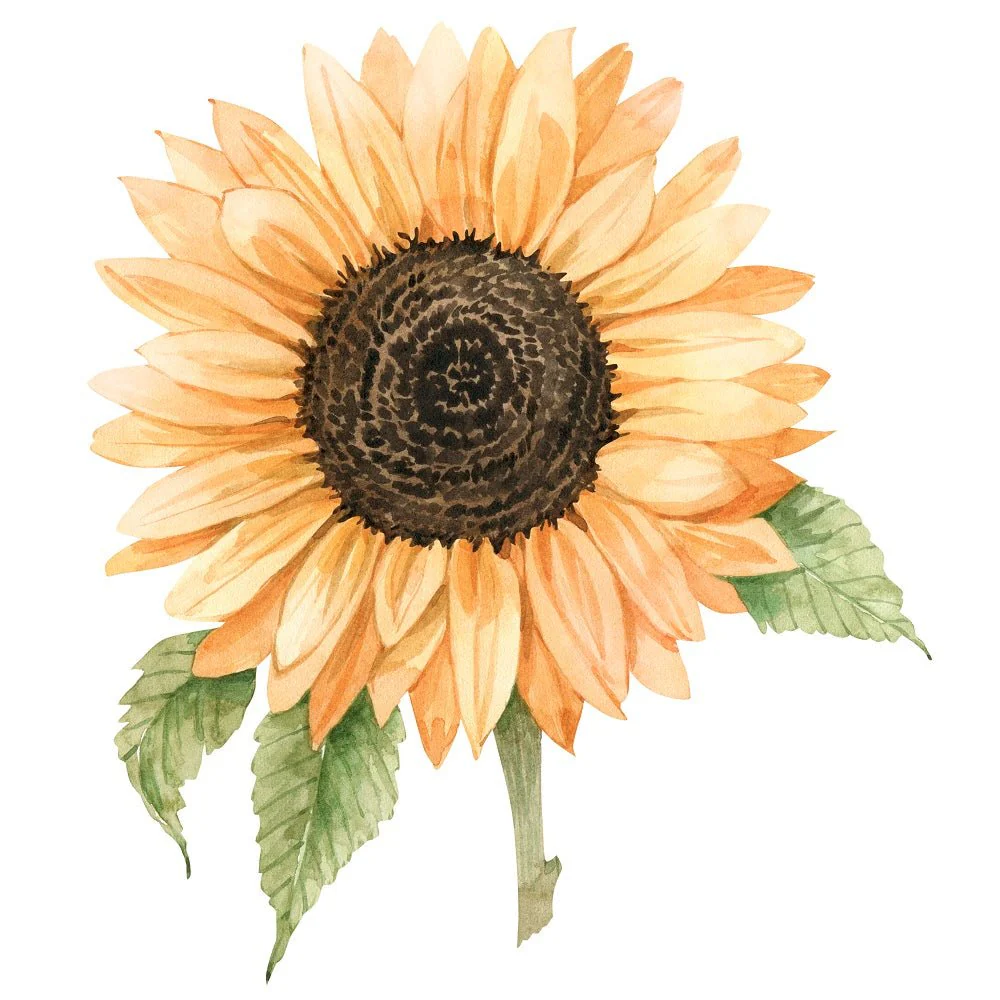 Painted Sunflower Fabric Panel