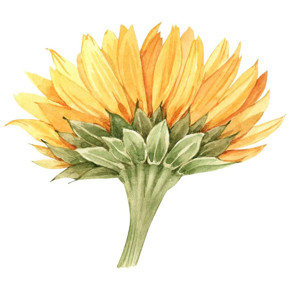 Painted Sunflower Side Fabric Panel