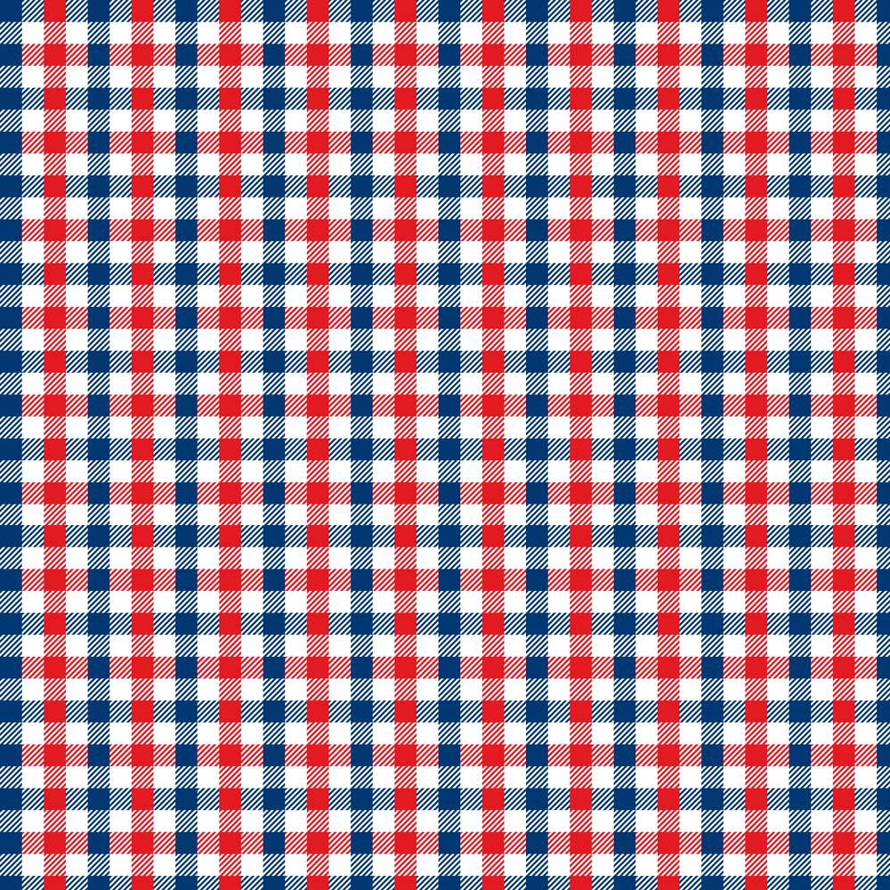 Patriotic Gingham Stripes Fabric - Multi