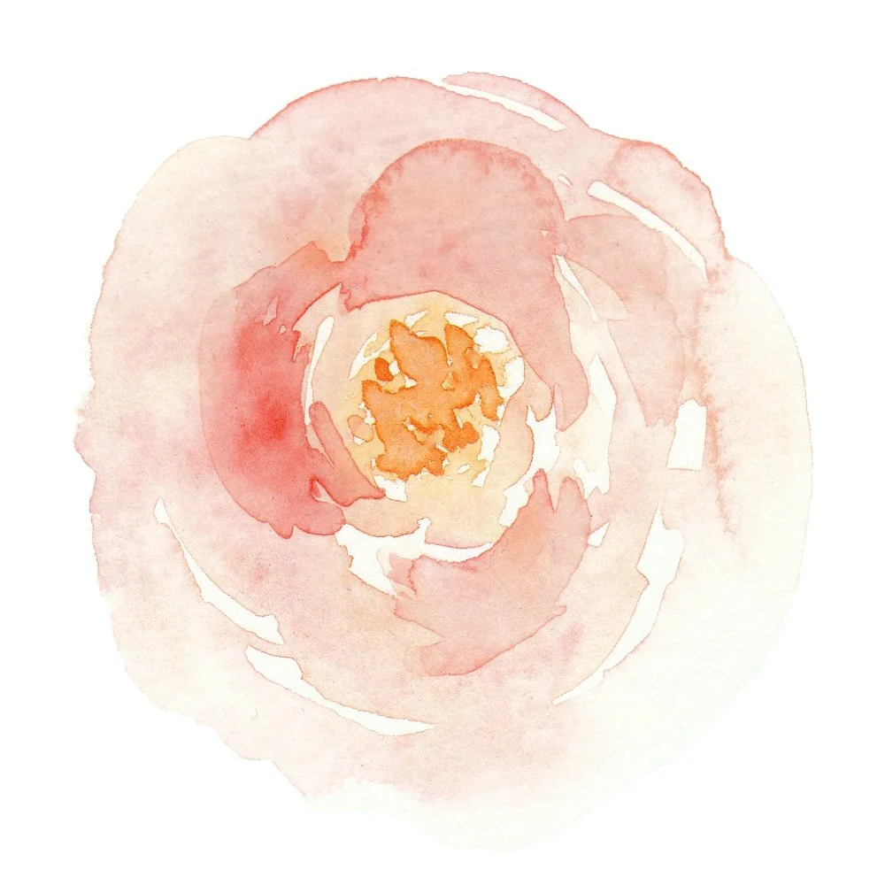 Peach Watercolor Marigold Wild Flower Fabric Panel