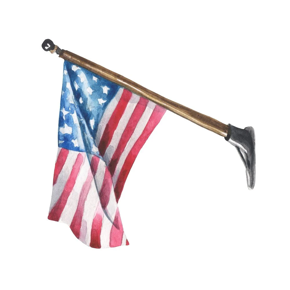 Perched Patriotic Flag Fabric Panel