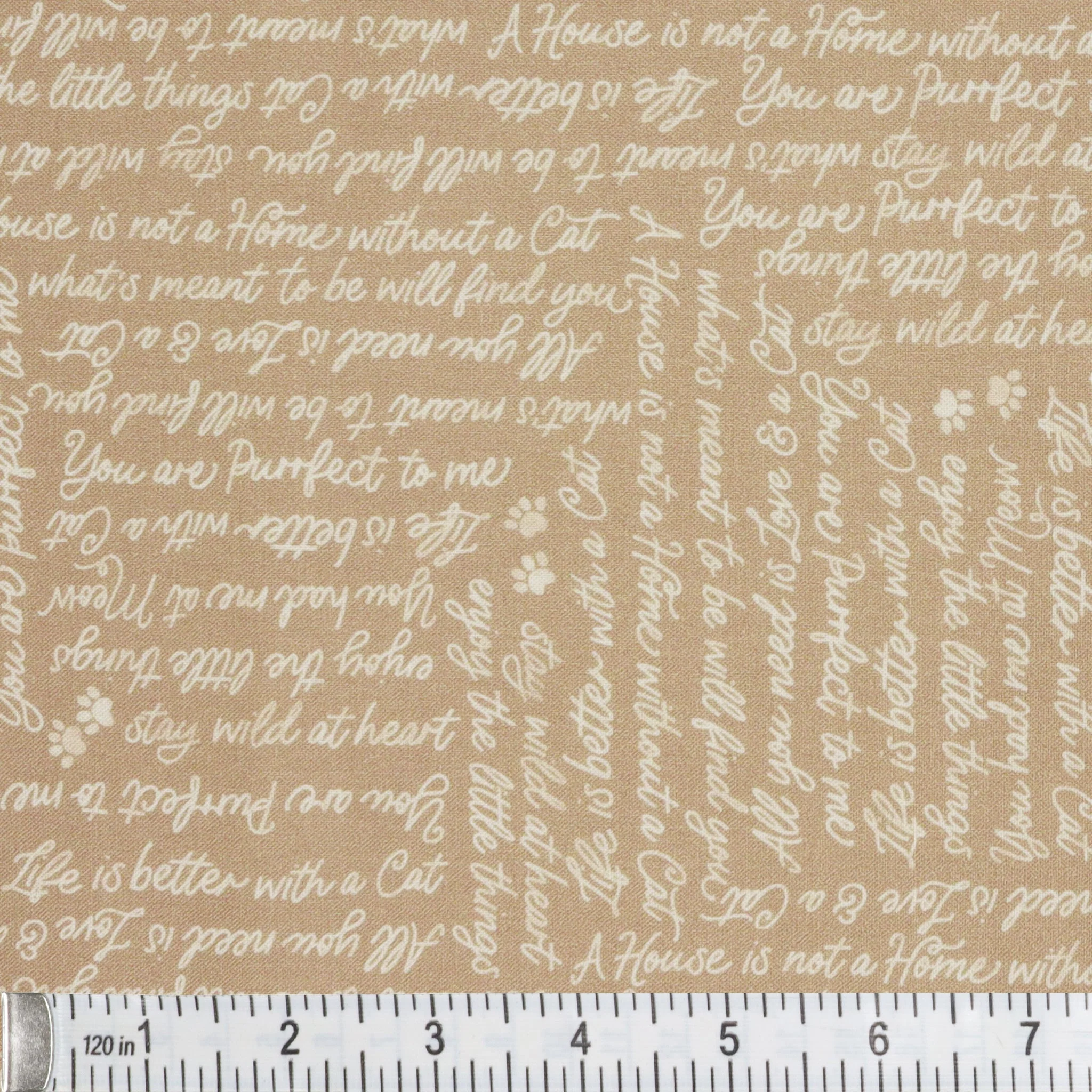 Petal & Purr Fabric Collection - You had me at Meow, Taupe - Image 3