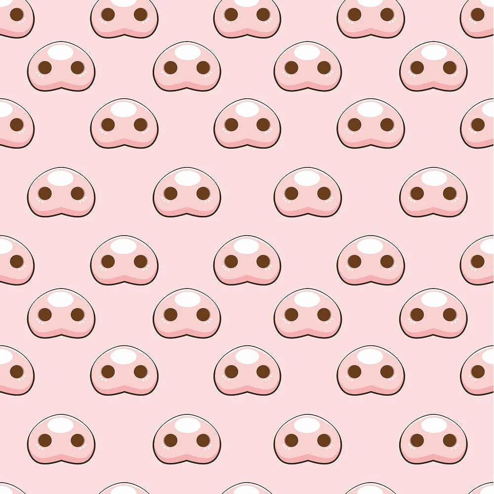 Pig Nose Fabric