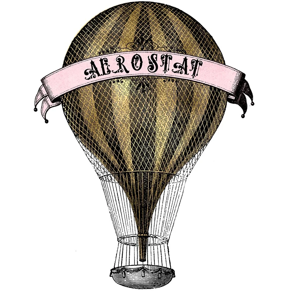 Pink and Gold Steampunk Balloon Fabric Panel