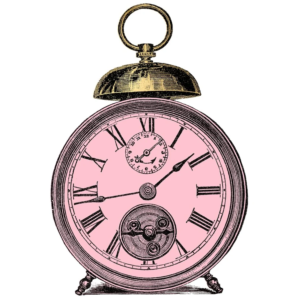 Pink and Gold Steampunk Clock Fabric Panel