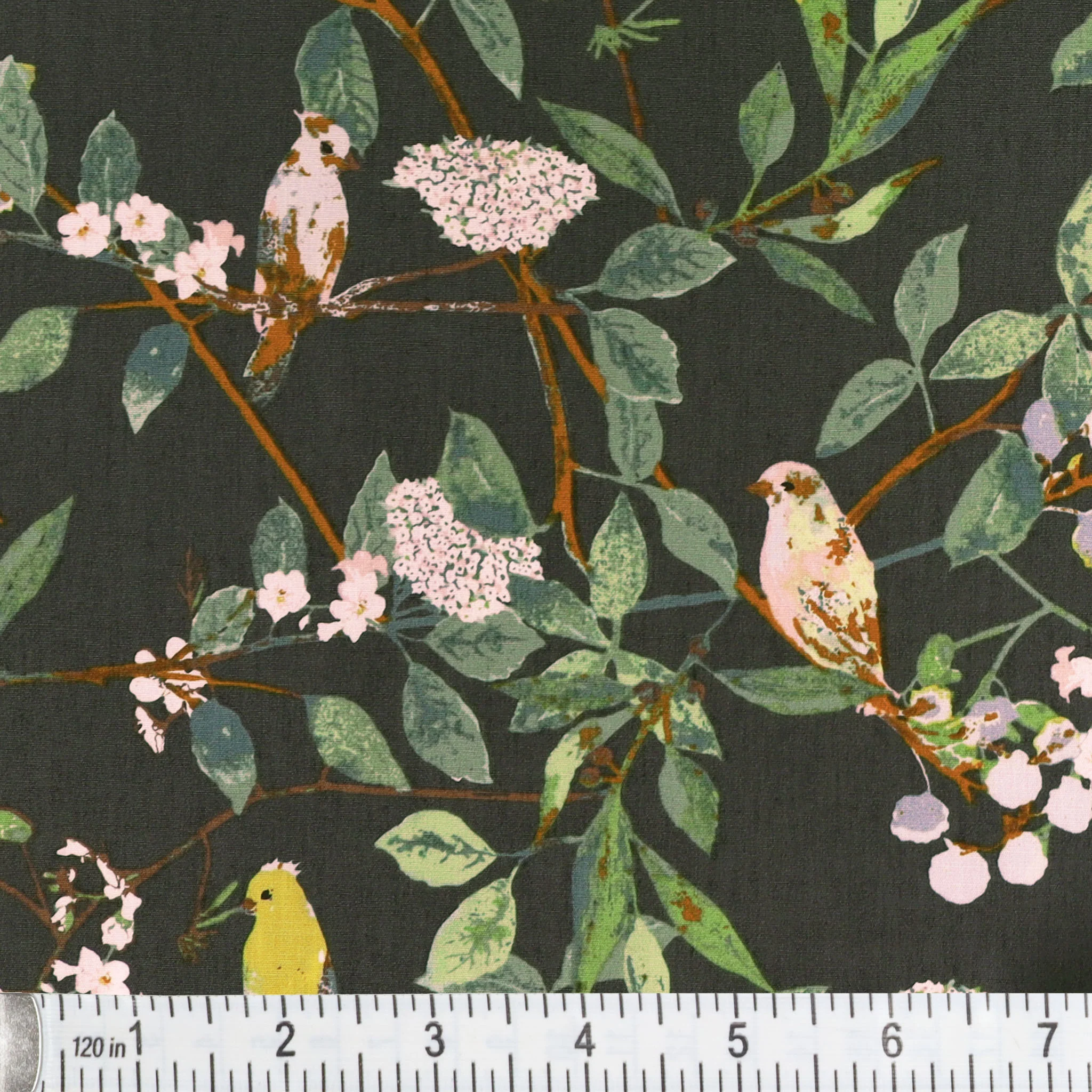 Plentiful Fabric Collection - Melodic Plumage Night - Image 2
