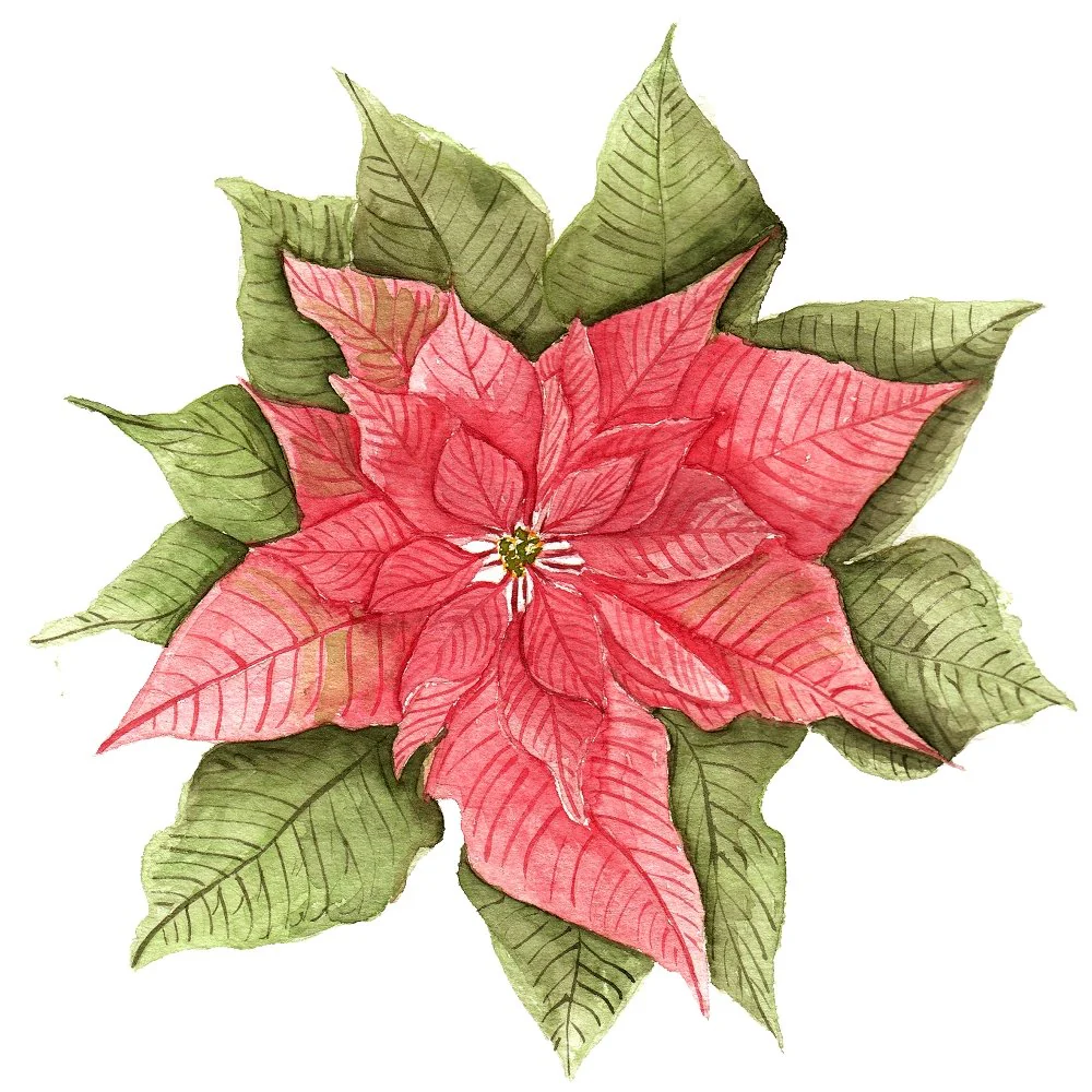 Poinsettia Flower #2 Fabric Panel
