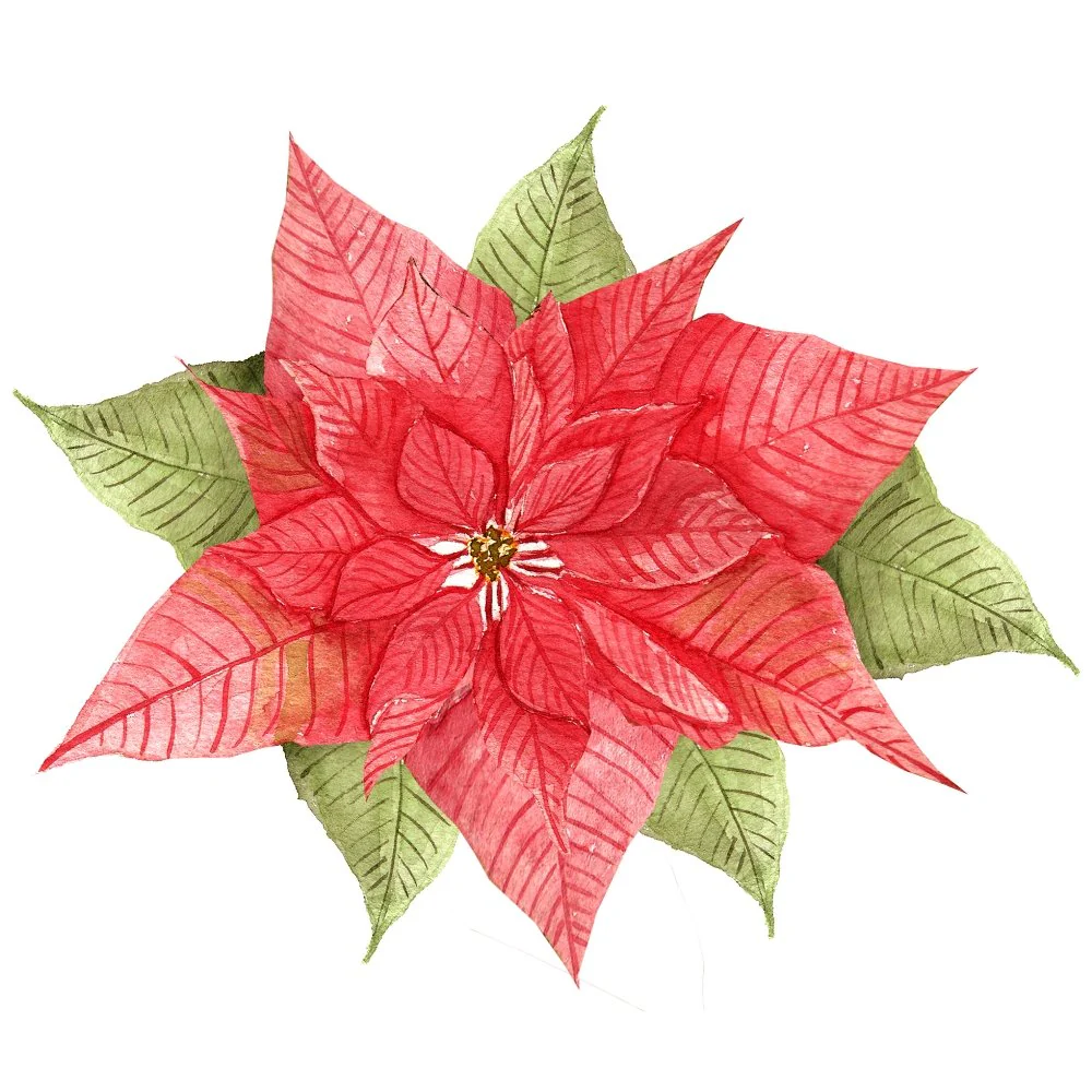 Poinsettia Flower #3 Fabric Panel