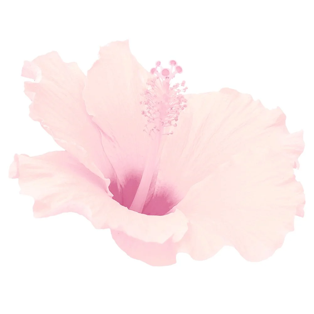 Primrose Flower Fabric Panel