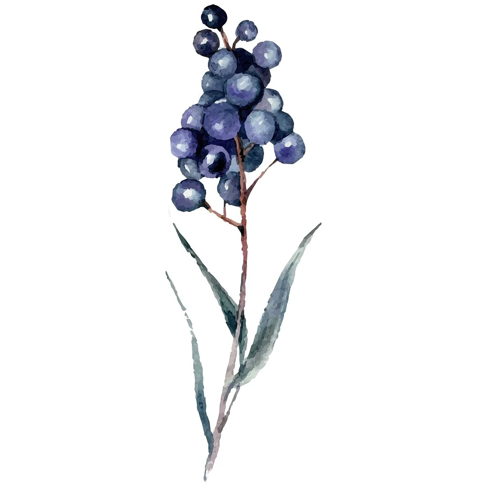Privet Berry Bushell Fabric Panel