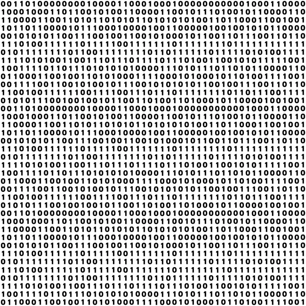 Programming 1s and 0s Fabric - Black/White