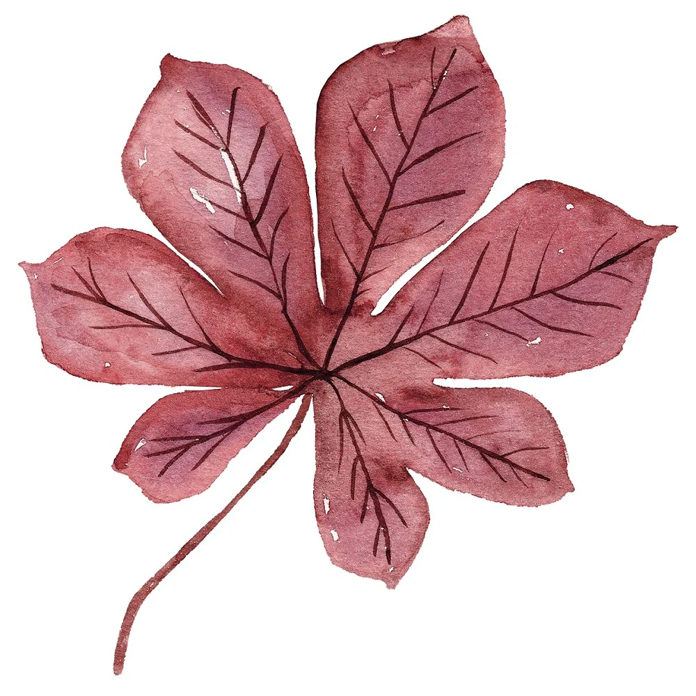 Pumpkin Paradise Maple Leaf Fabric Panel - Burgundy