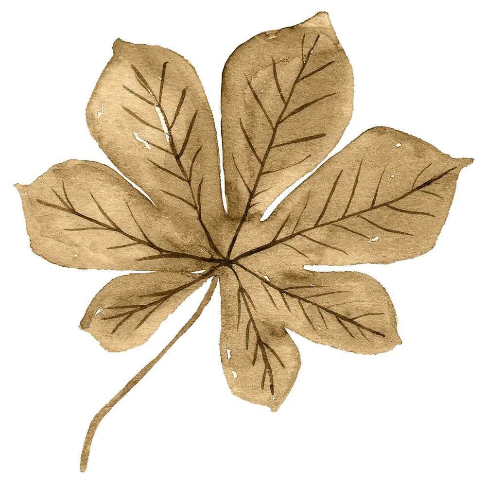 Pumpkin Paradise Maple Leaf Fabric Panel - Tan