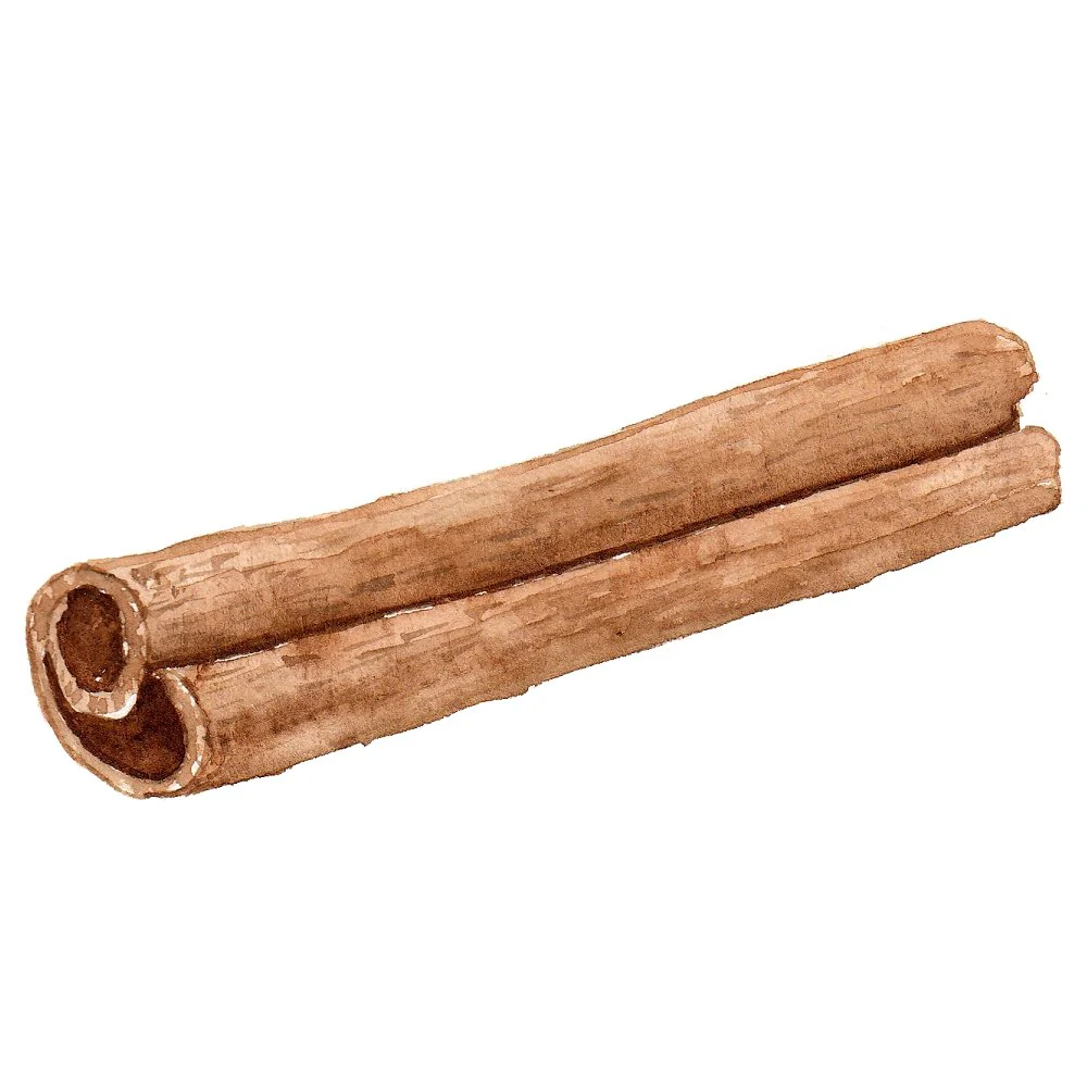 Pumpkin Spice Latte Cinnamon Stick #2 Fabric Panel