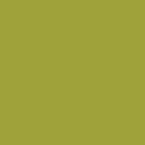 Pure Solids Fabric Collection - Parrot