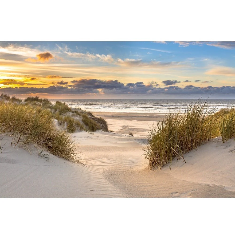 Realistic Beach Dunes Over North Sea Fabric Panel